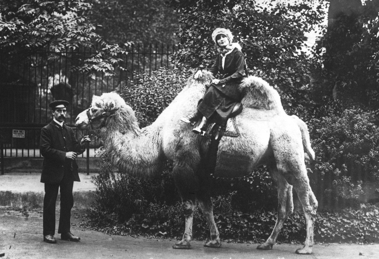 "Faire la bête à deux dos" — Définition